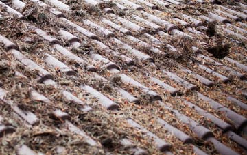 Leacanasigh roof cleaning companies