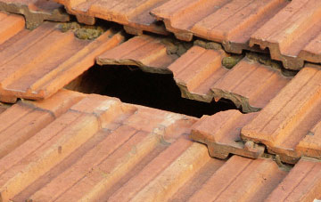 roof repair Leacanasigh, Highland