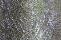 Leacanasigh fibreglass roof work